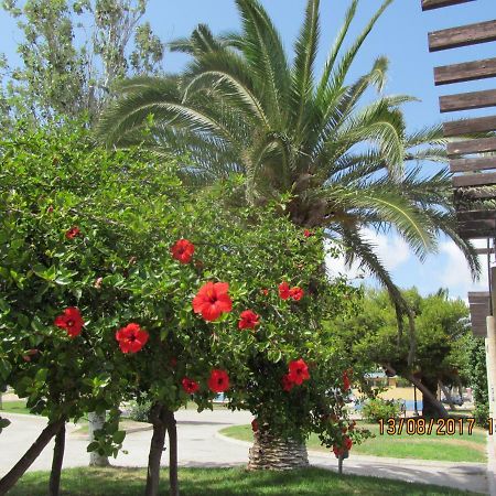 شقة Hacienda Bellamar سان بيذرو ذيل بيناتا المظهر الخارجي الصورة